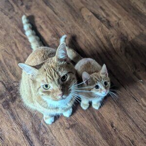 Meet your Posher, Christina